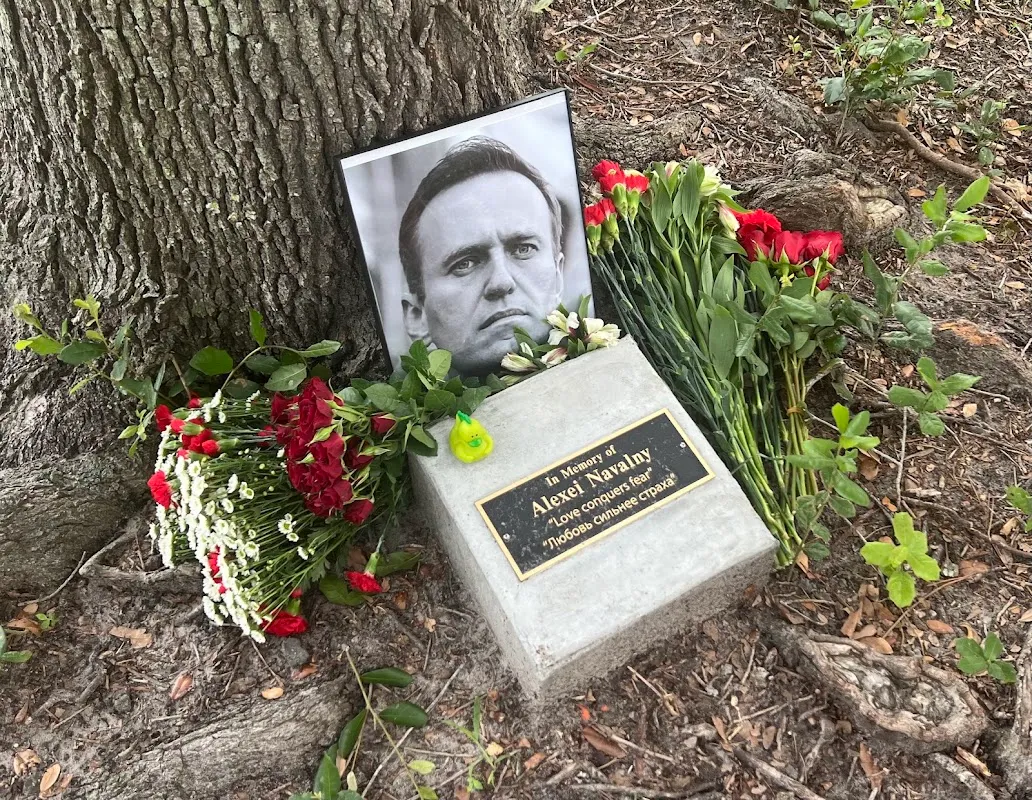 Navalny Memorial Tree (Jacksonville)